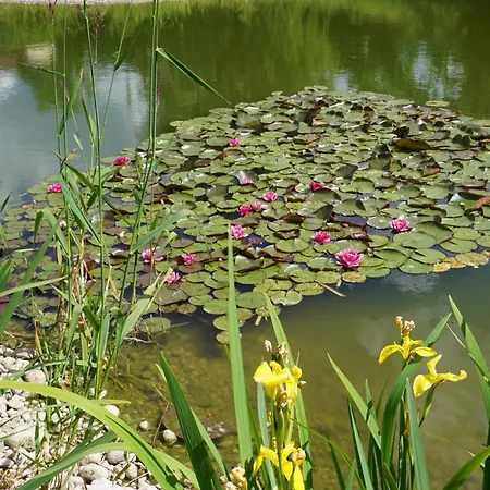 Hébergement de vacances Le Pavillon De L'étang *