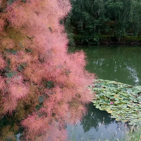 Hébergement de vacances Le Pavillon De L'étang