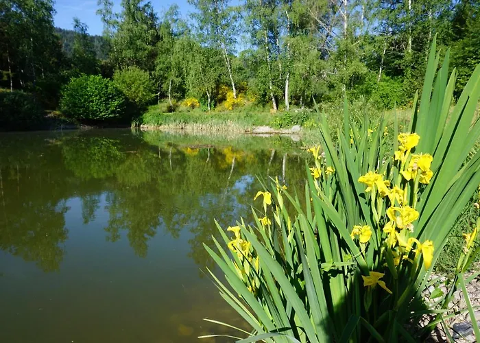 Le Et L'etang De Peche *