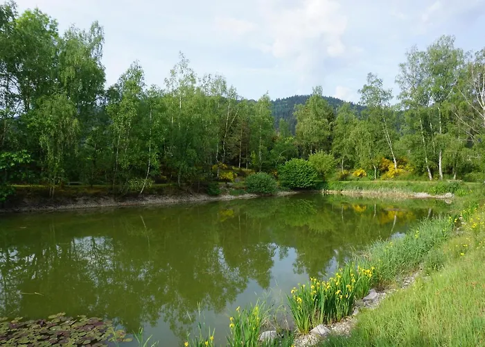 Prázdninový dům Le Et L'etang De Peche Vagney