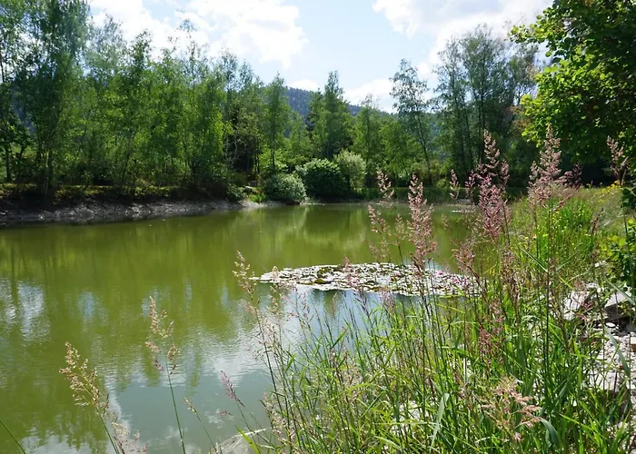 Le Et L'etang De Peche *