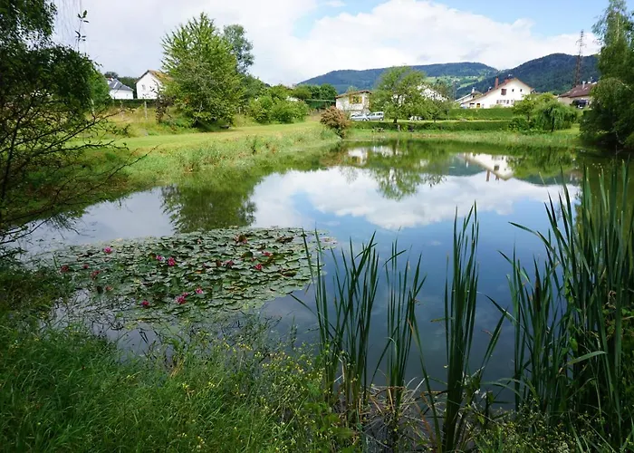 Le Et L'etang De Peche *