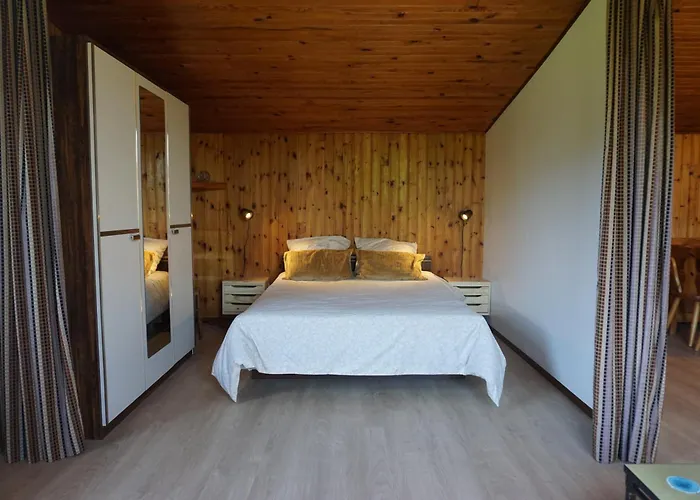 Le Et L'etang De Peche Vagney