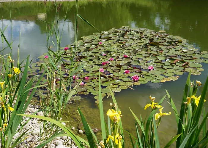 Prázdninový dům Le Et L'etang De Peche *