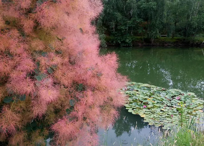 Prázdninový dům Le Et L'etang De Peche